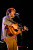 FleetFoxes-3