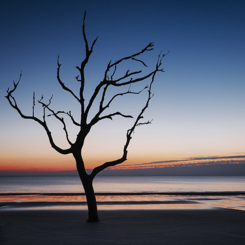 Jekyll Island